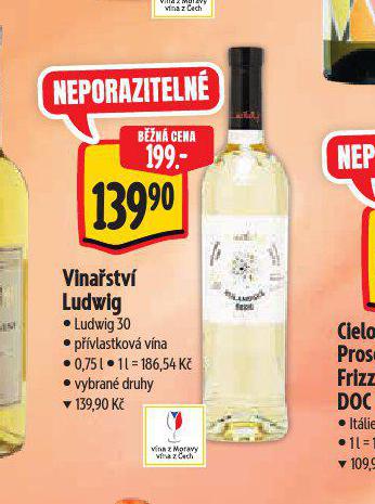 VINASTV LUDWIG