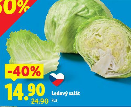 LEDOV SALT