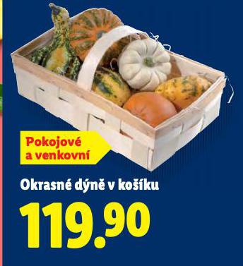 OKRASN DN V KOKU