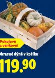 OKRASN DN V KOKU