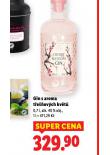 GIN S AROMA TEOVCH KVT