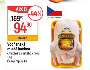 VODANSK MLAD KACHNA