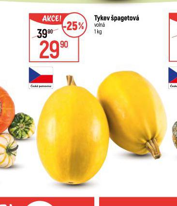TYKEV PAGETOV