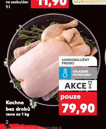 KACHNA BEZ DROB
