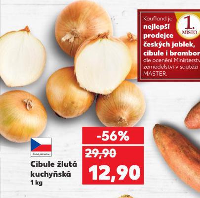 CIBULE KUCHYSK LUT
