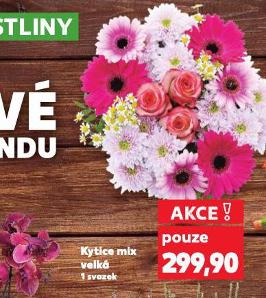 KYTICE MIX VELK