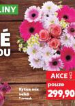 KYTICE MIX VELKÁ