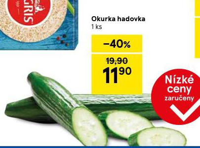 OKURKA HADOVKA