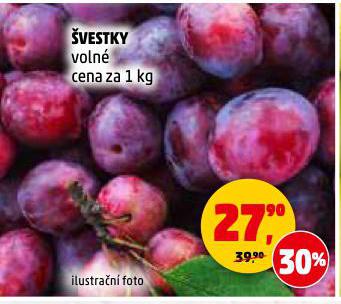 VESTKY