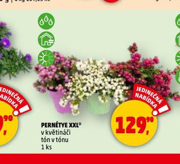 PERNTYE