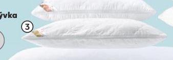 POLT 40 x 145 CM