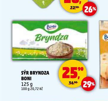 SR BRYNDZA