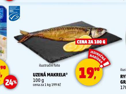 UZEN MAKRELA