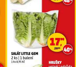 SALT LITTLE GEM