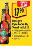 RADEGAST TEMN HOK 12