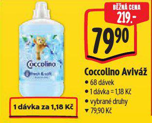 COCCOLINO AVIV