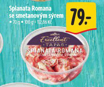 SPLANATA ROMANA SE SMETANOVM SREM
