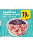 SPLANATA ROMANA SE SMETANOVM SREM