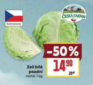 ZEL BIL POZDN