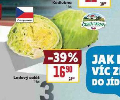 LEDOV SALT