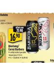 PIVO ERN BARBORA