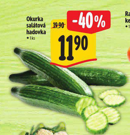 OKURKA SALTOV HADOVKA