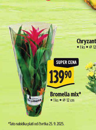 BROMELIA MIX