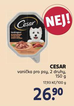 CESAR VANIKA PRO PSY