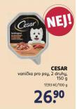 CESAR VANIKA PRO PSY