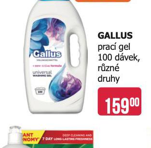GALLUS PRAC GEL 100 DVEK