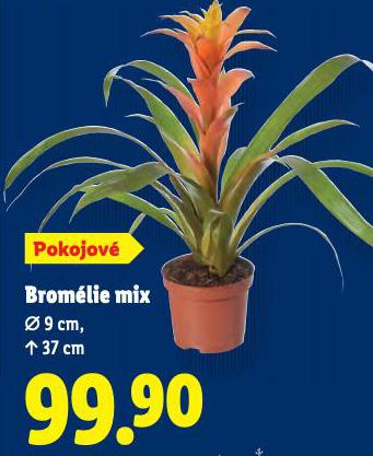 BROMLIE MIX