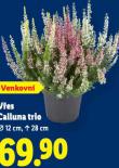 VES CELLUNA TRIO