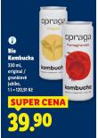 BIO KOMBUCHA