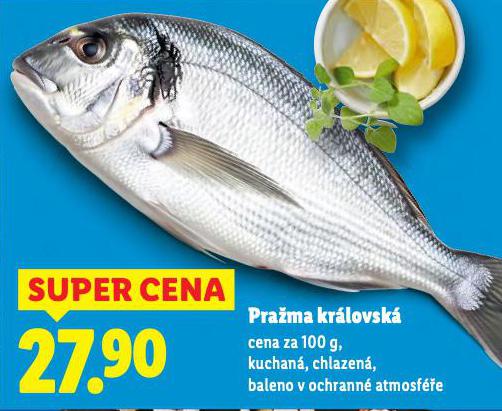PRAMA KRLOVSK