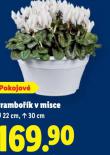 BRAMBOK V MISCE