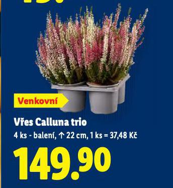 VES CALLLUNA TRIO