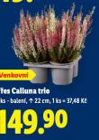 VES CALLLUNA TRIO