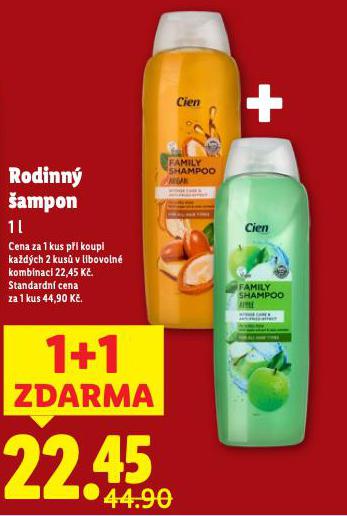 RODINN AMPON