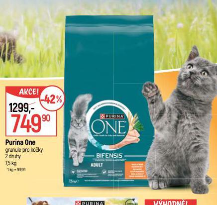 PURINA ONE GRANULE PRO KOKY