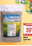 LUN SENO