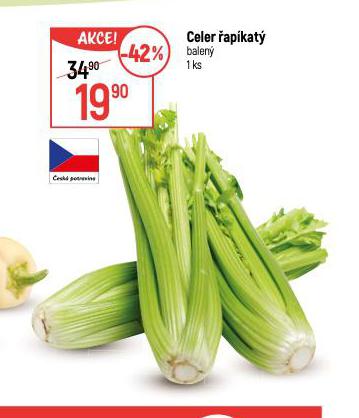 CELER APKAT