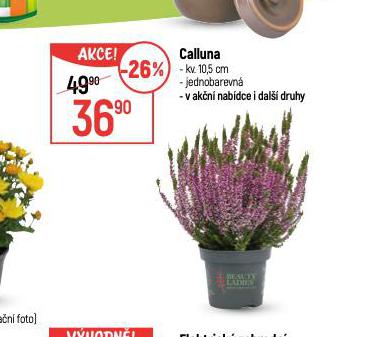 CALLUNA