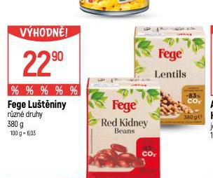 FEGE LUTNINY