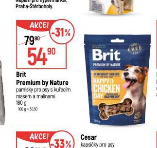 BRIT PAMLSKY PRO PSY
