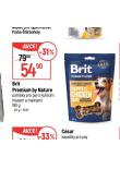 BRIT PAMLSKY PRO PSY