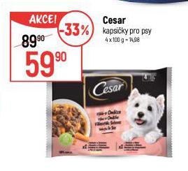 CESAR KAPSIKY PRO PSY