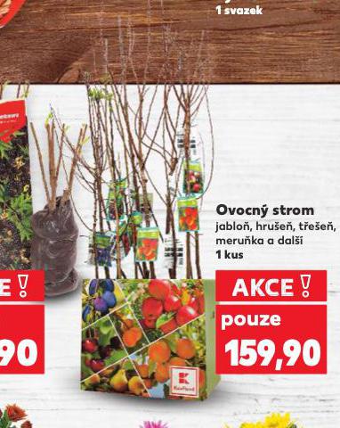 OVOCN STROM