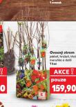 OVOCN STROM