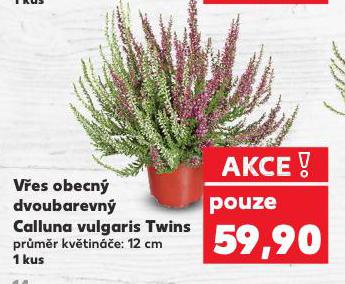 VES OBECN