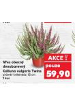 VES OBECN